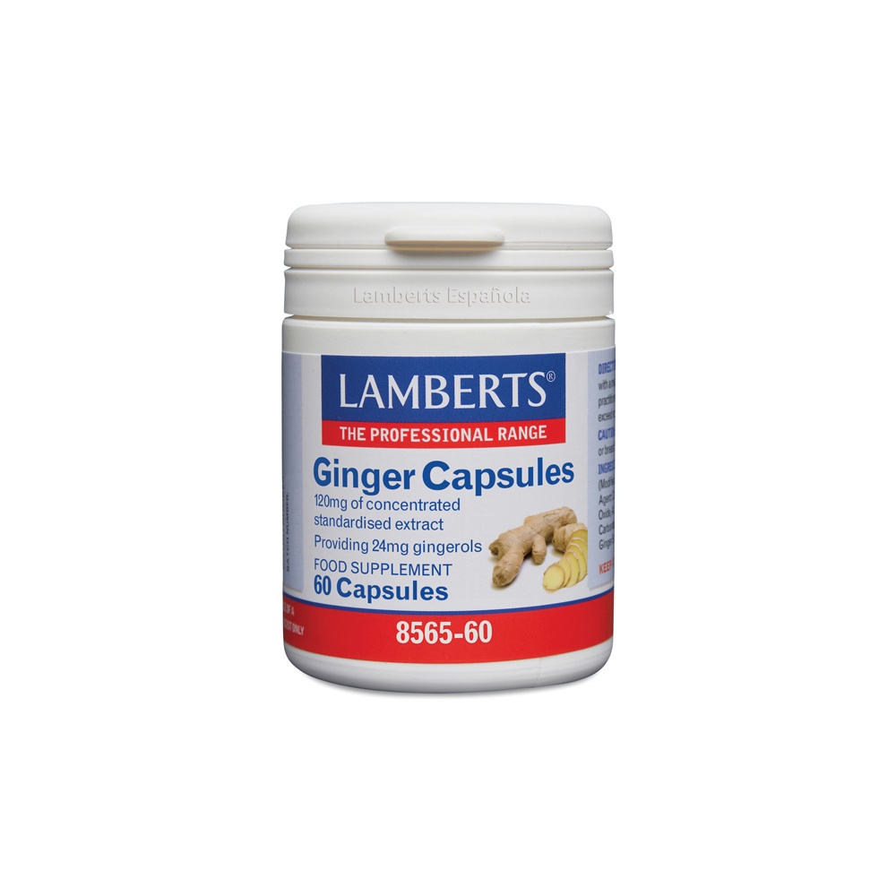 Lamberts Jengibre 14400 Mg